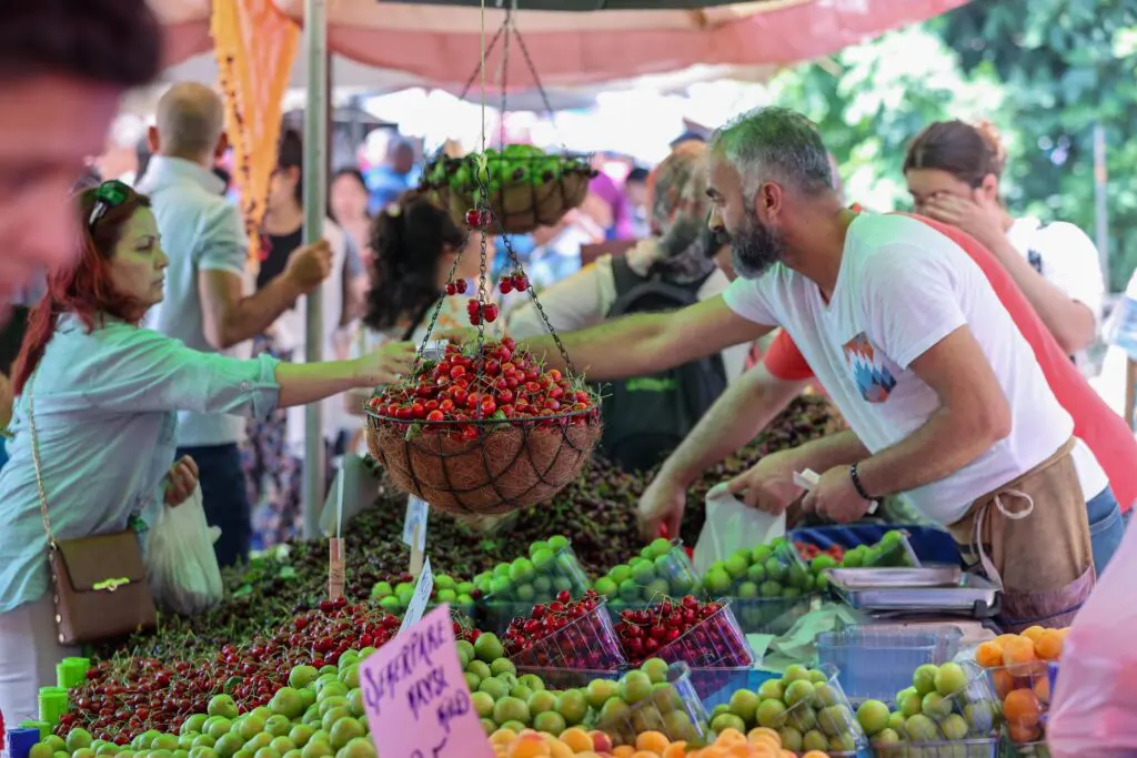 Buca’nın Kiraz Festivali’ne geri sayım başladı... Başkan Kılıç: 'Tüm İzmirlileri bekliyoruz'