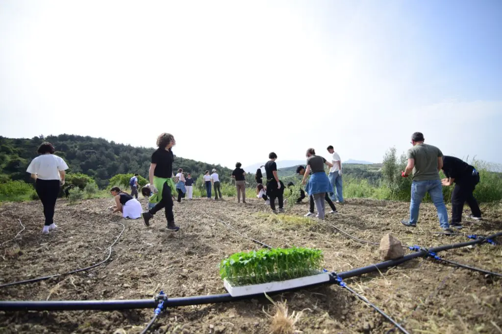 Bornova'da hedef 50 milyon atalık tohum