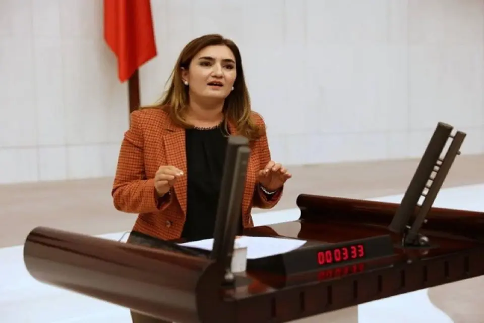 CHP İzmir Milletvekili ve TBMM İnsan Haklarını İnceleme Komisyonu &Uuml;yesi