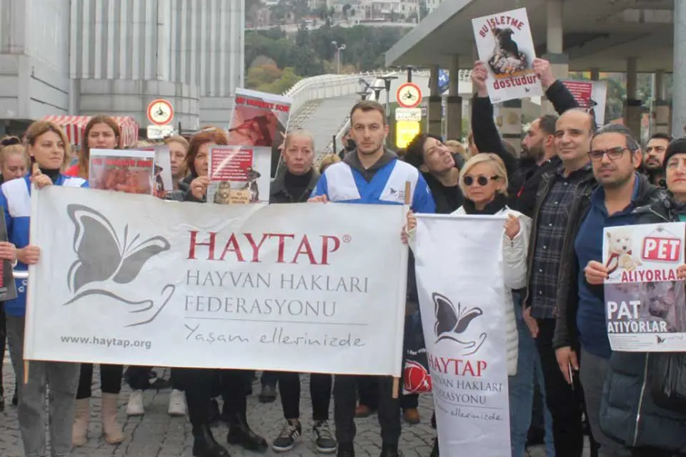 İzmir'de Hayvan Hakları Federasyonu (HAYTAP) ve hayvan hakları odaklı sivil