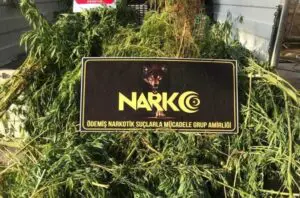 Ödemiş Emniyet Müdürlüğü Narkotik Büro Amirliği ekipleri, Ödemiş ile Kiraz