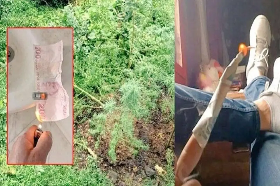 Sosyal medya hesabından T&uuml;rk lirasını yakma g&ouml;r&uuml;nt&uuml;lerini paylaşan zanlı Rize'de