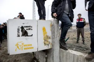 Hayvana yapılan zulüm durmak bilmiyor. Ankara’da 17 köpek ağaca asılı