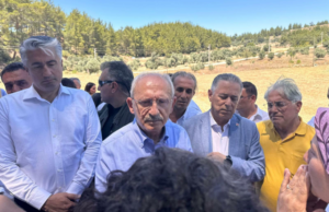 Muğla’daki Yeniköy ve Kemerköy termik santrallerindeki maden sahasının ağaç kesilerek
