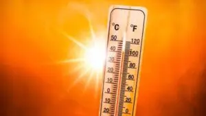 WMO’dan yapılan yazılı açıklamada, yoğun sıcak hava dalgalarının ABD’nin güneyini,