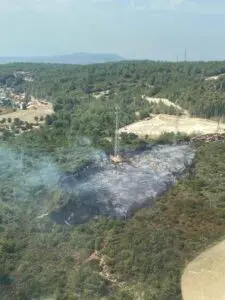 Urla ilçesinin Ovacık Mahallesi yakınlarındaki ormanda, bugün saat 14.00 sıralarında