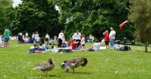 İstanbul Valiliği, vatandaşların park, piknik yeri, mesire alanı ve plaj