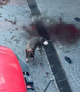Olay, 20 Ağustos günü saat 16.00 sıralarında, Şenlikköy Mahallesi, Yeşilköy