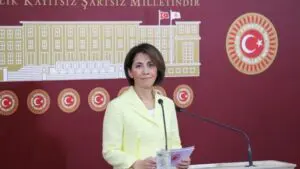 CHP Sağlık ve Sosyal Politikalardan Sorumlu Genel Başkan Yardımcısı ve