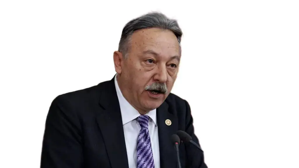 özlem çerçioğlu 