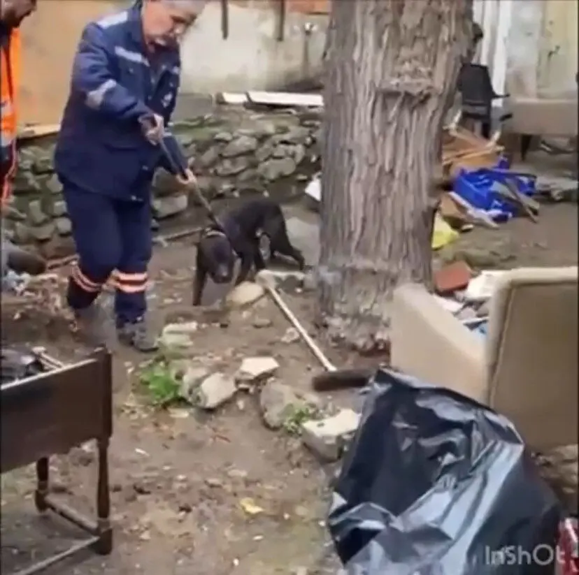 Baskında yakalanan firarinin evine kaçış tüneli kazdığı oraya çıktı 6 Baskında yakalanan firarinin evine kaçış tüneli kazdığı oraya çıktı