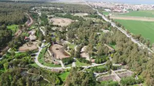 İzmir Doğal Yaşam Parkı, hayvanların periyodik kontrollerinin yapılıp, adaptasyon ve