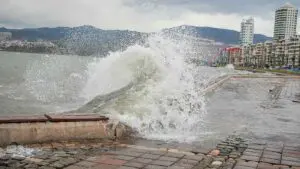 fırtın