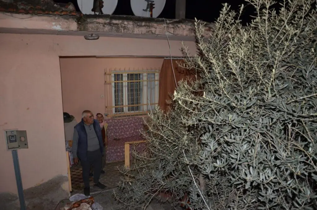 aydın