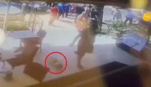 İzmir’in Karşıyaka ilçesinde Sibel Gedik’in (45) akita cinsi ‘Haki’ isimli