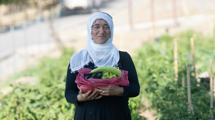 mahalle bostanı