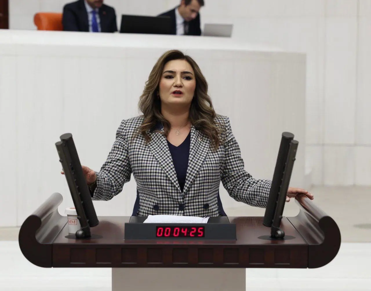 CHP İzmir Milletvekili Sevda Erdan Kılıç’ın, “Gençler arasında suç oranlarındaki