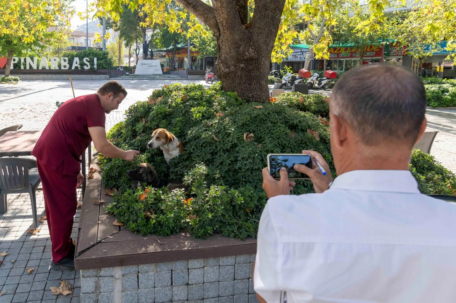 Dünya Sağlık Örgütü İzmir’i konuşuyor: Sahiplendirme ve kısırlaştırmada rekor 3 Dünya Sağlık Örgütü İzmir’i konuşuyor: Sahiplendirme ve kısırlaştırmada rekor