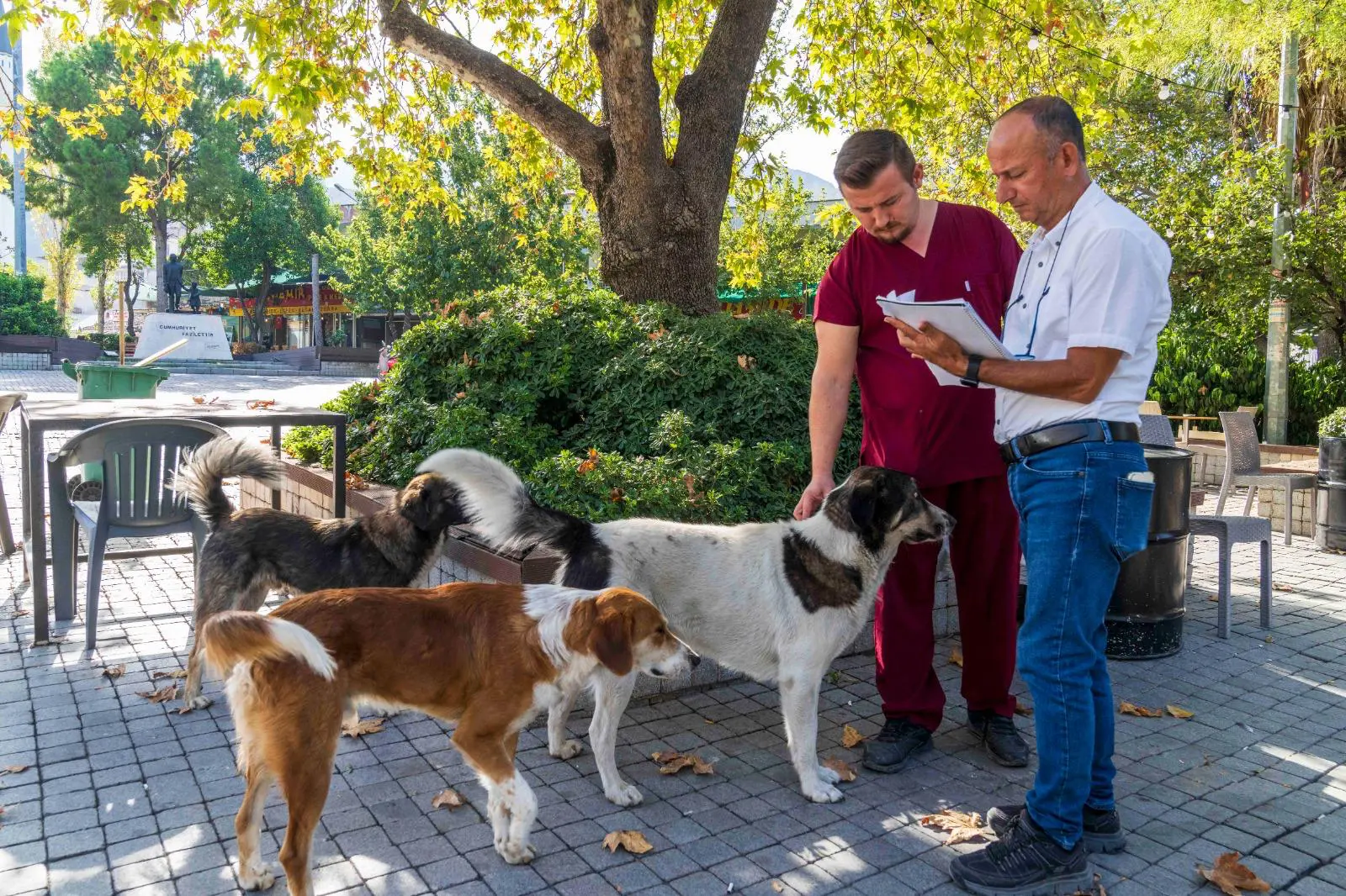 Dünya Sağlık Örgütü İzmir’i konuşuyor: Sahiplendirme ve kısırlaştırmada rekor 1 Dünya Sağlık Örgütü İzmir’i konuşuyor: Sahiplendirme ve kısırlaştırmada rekor