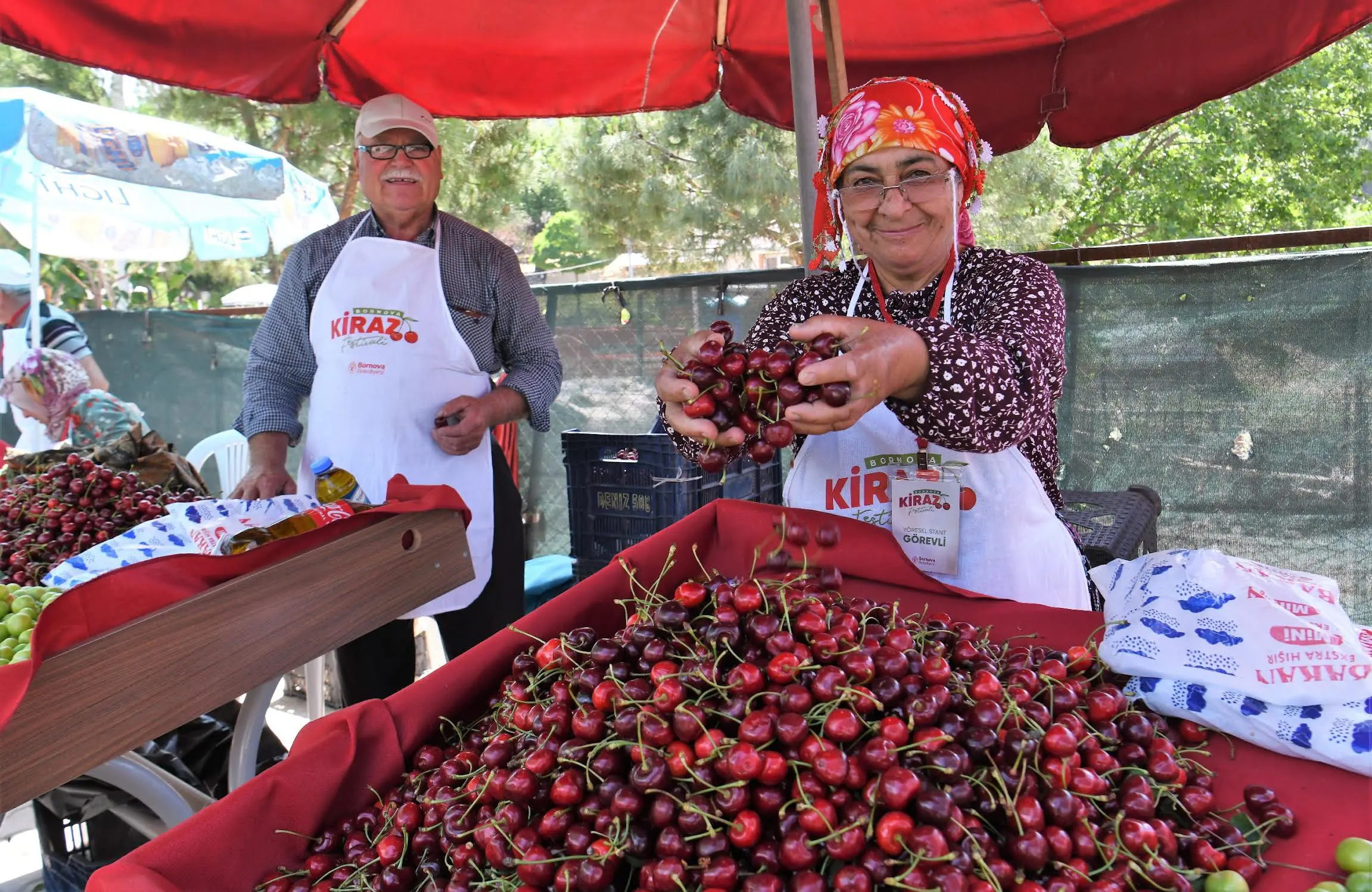 Bornova Kiraz Festivali başlıyor: En güzel kirazlar Beşyol’da sergilenecek