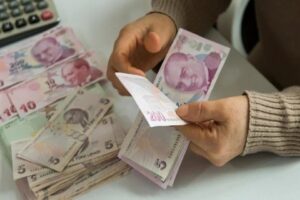Hazine ve Maliye Bakanlığı'nca gelire endeksli devlet iç borçlanma senedi