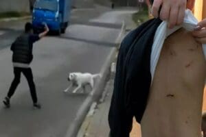 Pendik&rsquo;te evinden &ccedil;ıkarak okula gitmek &uuml;zere sokakta y&uuml;r&uuml;yen 10 yaşındaki