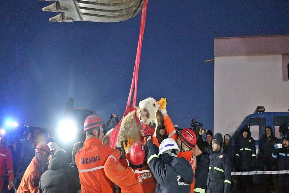 Kahramanmaraş merkezli 7.7 ve 7.6'lık depremden etkilenen iller arasında bulunan