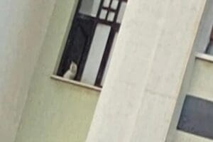 Diyar Galeria İş Merkezi&rsquo;nde ayakta kalan bloklarda mahsur kalan 14