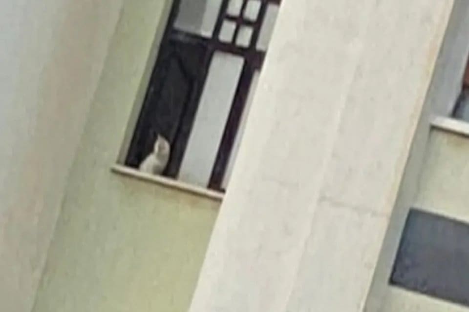 Diyar Galeria İş Merkezi&rsquo;nde ayakta kalan bloklarda mahsur kalan 14