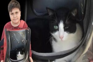 Kahramanmaraş'ta Muhammet Ey&uuml;p Elbistanlı (12), depremde ağır hasar g&ouml;ren binada