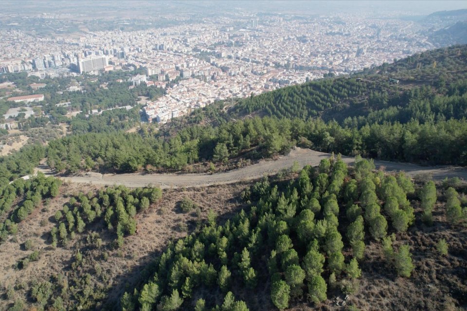 Manisa'da 19 yıl &ouml;nce &ccedil;ıkan yangında k&uuml;le d&ouml;nen orman, yapılan