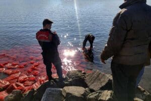 İZMİR&rsquo;in Aliağa il&ccedil;esinde jandarmanın bir tekneye d&uuml;zenlediği operasyonda 2 ton