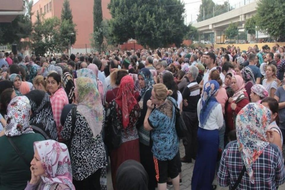 Operat&ouml;r şof&ouml;r, ağır vasıta şof&ouml;r&uuml;, b&uuml;ro elemanı ve park bah&ccedil;elerde