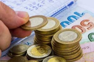 Türkiye, yeni yıla hem TL’deki değer kaybının yarattığı etkiyle benzin