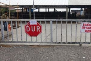 Denizli'nin Acıpayam il&ccedil;esinde, 2&nbsp;mahallede şap hastalığı&nbsp;tespit edilmesiyle&nbsp;toplam&nbsp;26 kırsal mahalle&nbsp;karantinaya alındı;&nbsp;hayvan