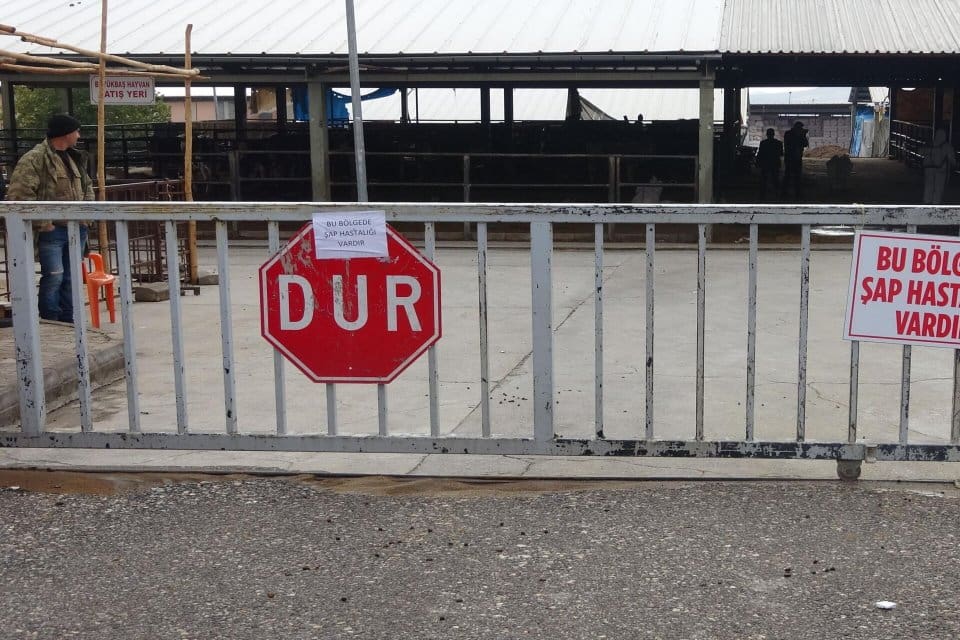 Denizli'nin Acıpayam il&ccedil;esinde, 2&nbsp;mahallede şap hastalığı&nbsp;tespit edilmesiyle&nbsp;toplam&nbsp;26 kırsal mahalle&nbsp;karantinaya alındı;&nbsp;hayvan