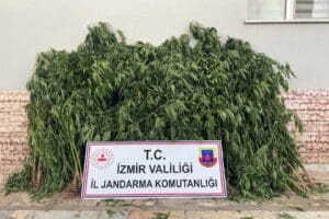 İZMİR'in 9 farklı il&ccedil;esinde jandarma ekiplerince d&uuml;zenlenen operasyonlarda 13 kilo