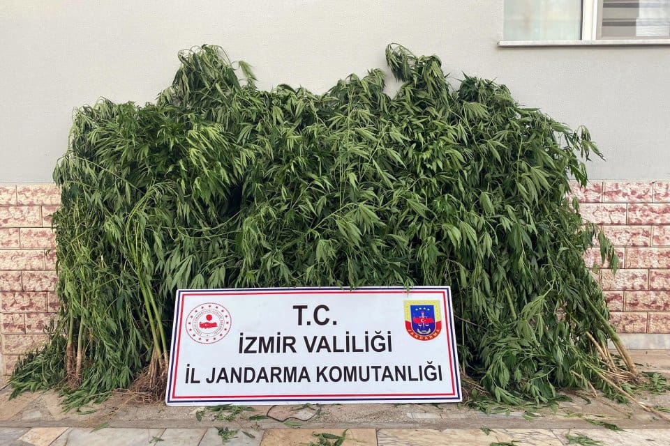 İZMİR'in 9 farklı il&ccedil;esinde jandarma ekiplerince d&uuml;zenlenen operasyonlarda 13 kilo