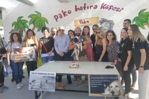 İzmir B&uuml;y&uuml;kşehir Belediyesi, 4 Ekim Hayvanları Koruma G&uuml;n&uuml;'n&uuml; T&uuml;rkiye'ye &ouml;rnek