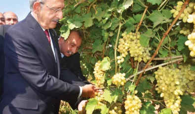 Kılıçdaroğlu, engellenen SMS’i paylaştı: ‘Buğday taban fiyatı en az 13 TL olacak’