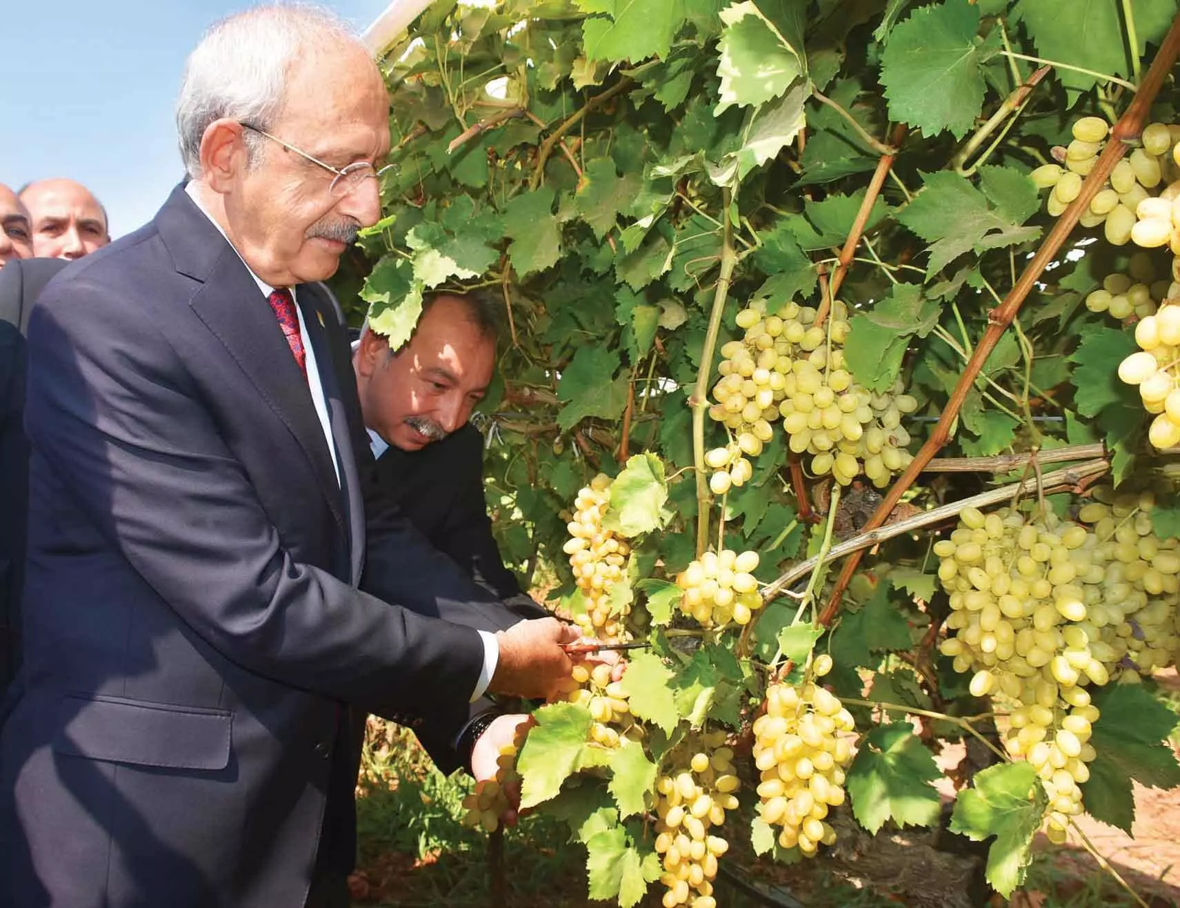 Kemal Kılıçdaroğlu, “Tüm çiftçilerimize bu mesajı SMS ile gönderecektim ama