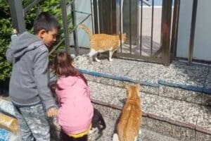 Avcılar'da 2 bin dairenin bulunduğu sitede 6 yaşındaki bir &ccedil;ocuğun