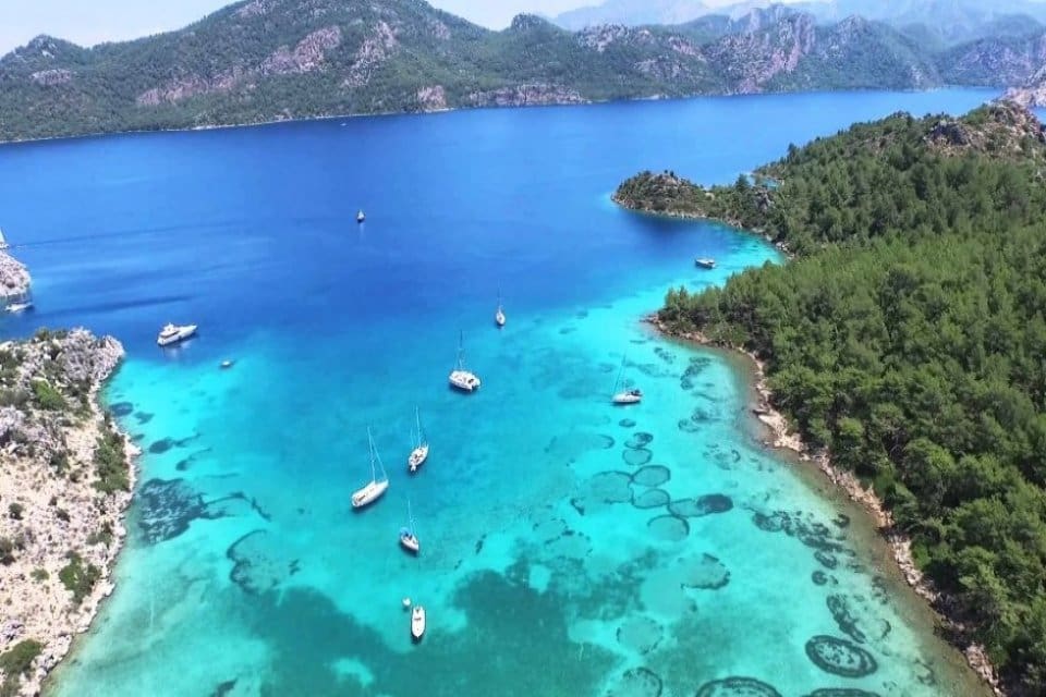 Kamu kurumlarının &ccedil;oğu Ege ve Akdeniz sahillerindeki y&uuml;zlerce d&ouml;n&uuml;m arazi