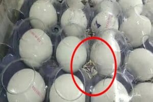 A101 zincir market m&uuml;şterisi mağazadaki yumurtaların kurtlandığını s&ouml;yleyerek g&ouml;r&uuml;nt&uuml;leri yayınladı.