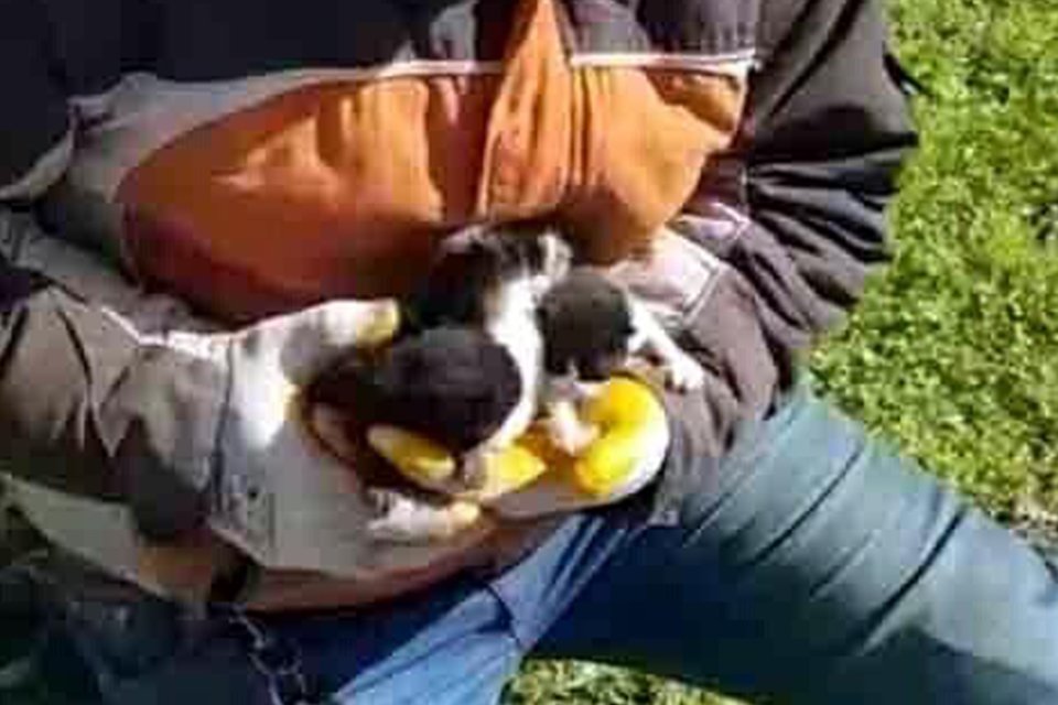İzmir'in Seferihisar Belediyesi Temizlik İşleri ekipleri, bir poşet içerisinde çöp