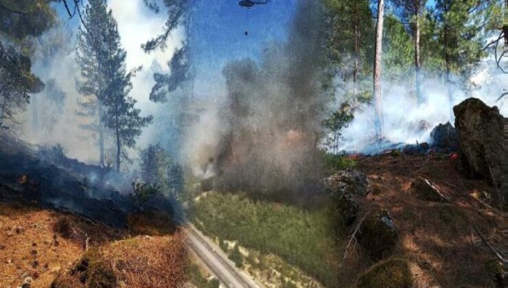 Adana'da 3 noktada orman yangını