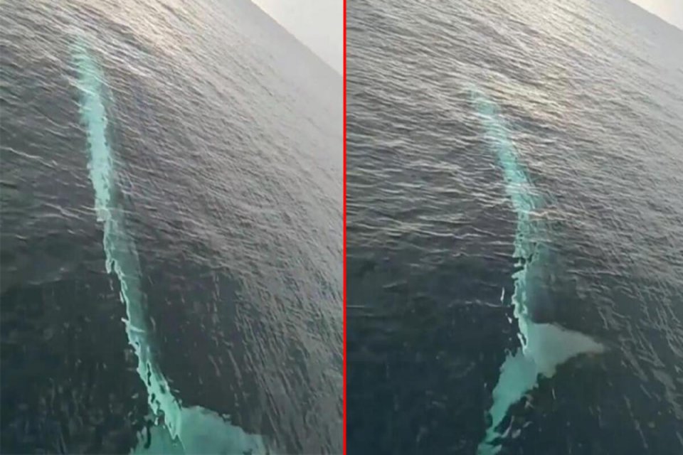 Adana'nın Karataş ilçesinde balıkçı teknesindeki balıkçılar tarafından cep telefonu kamerasıyla