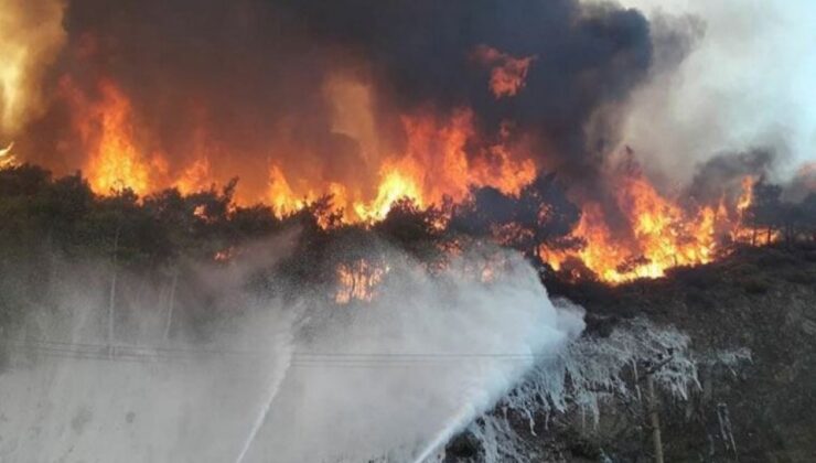 AFAD’dan İzmir dahil 6 il için orman yangını uyarısı!