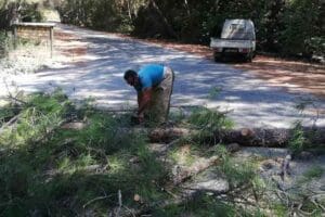 Aydın'ın Kuşadası il&ccedil;esi Dilek Yarımadası B&uuml;y&uuml;k Menderes Deltası Milli Parkı&nbsp;M&uuml;d&uuml;r&uuml;