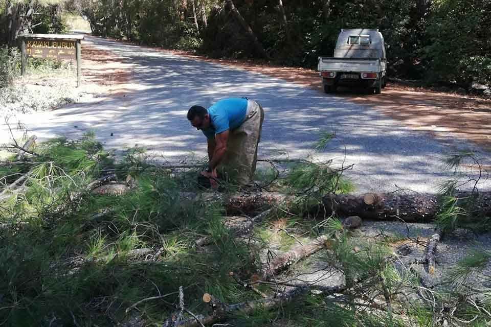 Aydın'ın Kuşadası il&ccedil;esi Dilek Yarımadası B&uuml;y&uuml;k Menderes Deltası Milli Parkı&nbsp;M&uuml;d&uuml;r&uuml;